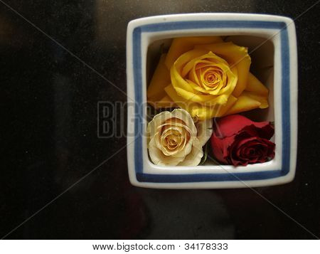 3 명의 아름 다운 장미