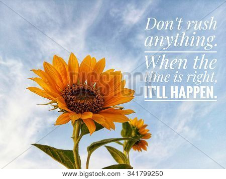 Inspirational Motivational Quote - Do Not Rush Anything. When The Time Is Right, It Will Happen. Wit