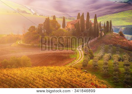 Beautiful Golden Sunrise In Tuscany, Italy With Vineyard. Natural Idillyc Seasonal Autumn Background