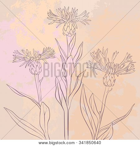 Vector Drawing Flowers At Vintage Pink Background, Floral Composition, Hand Drawn Illustration