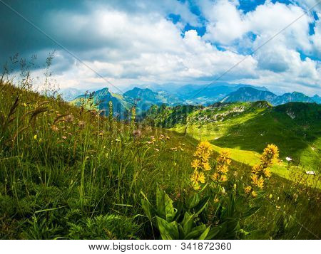 Summer landscape of Switzerland mountain nature at Rochers-de-Naye