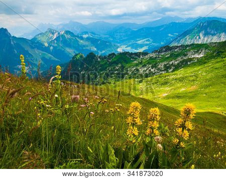 Summer landscape of Switzerland mountain nature at Rochers-de-Naye