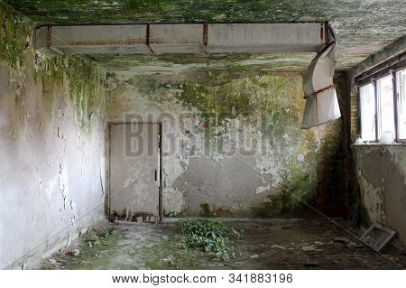 Scarry Creepy Green Moss Covered Walls Of Dilapidated Room With Broken Metal Industrial Ventilation 