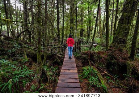 Woman Wearing A Red Coat Walking On A Wooden Path In A Wild Forest. Taken In Rainforest Trail, Near 