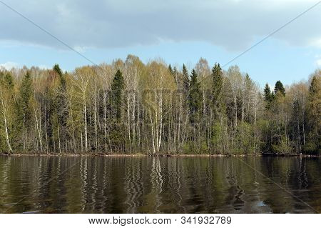 Spring On The River Sheksna In The Vologda Region. Russia
