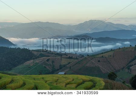 Beautiful Rice Terraces In The Morning With Fog Environment In Pa Bong Piang, The Rural Village In C
