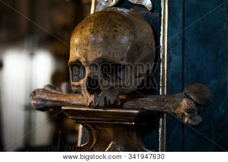 Frontview Of Human Skull On Dark Background. Halloween And Death Concept