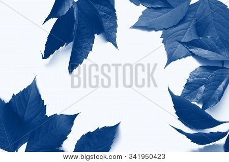 Classic Blue Tone Frame With Autumn Colorful Leaves Isalated On White Background. Top View. Fall Fla