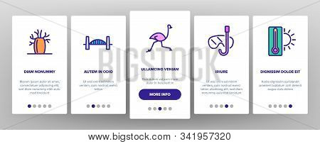 Australia Onboarding Mobile App Page Screen Vector