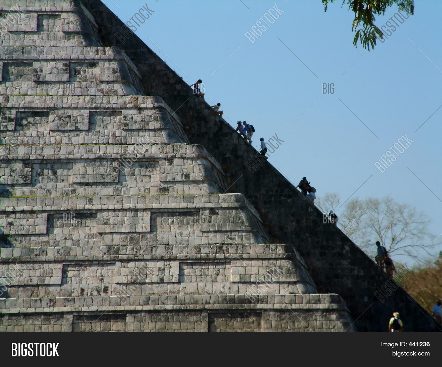 Image Preview