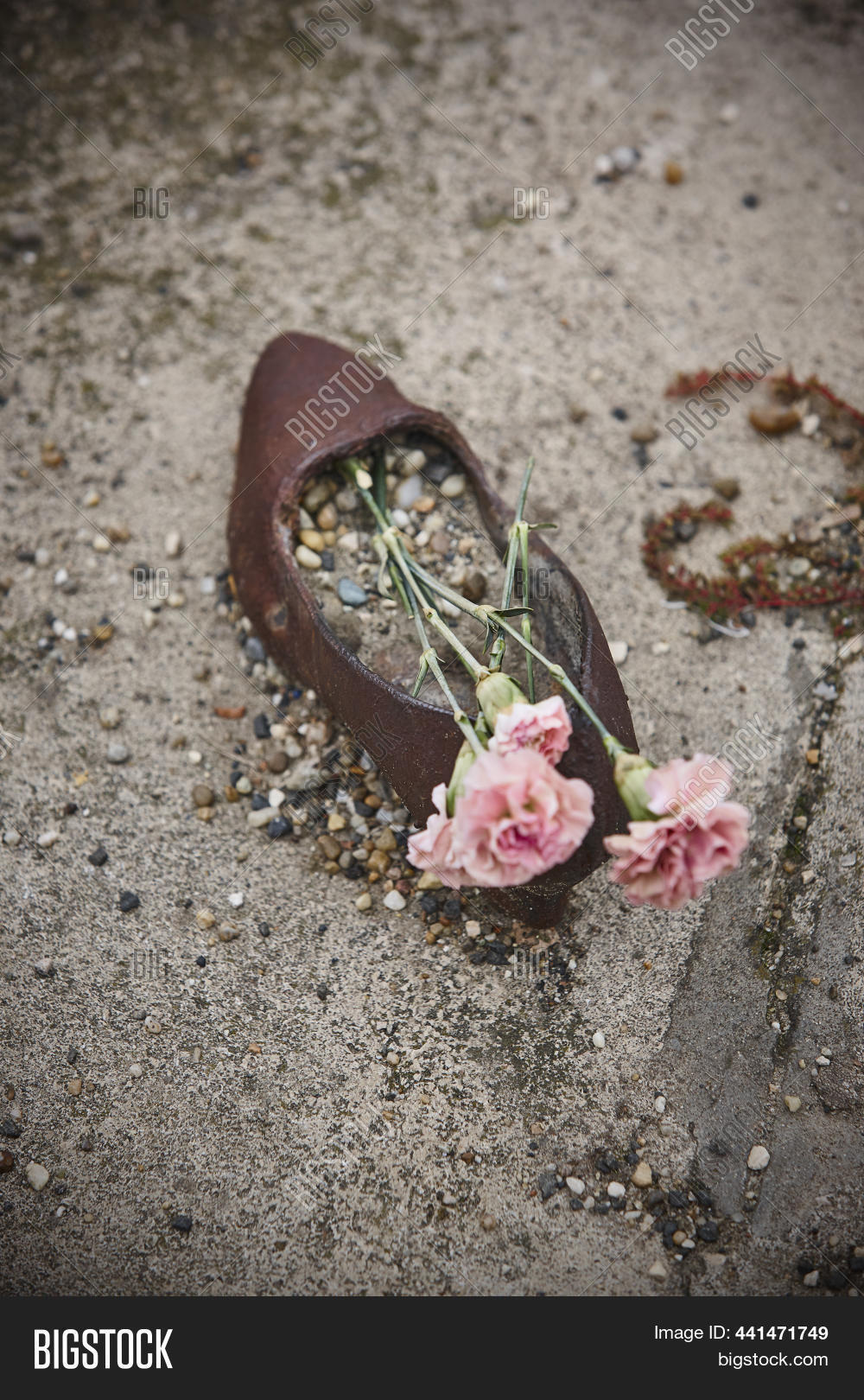 Budapest Jewish Image & Photo (Free Trial) Bigstock