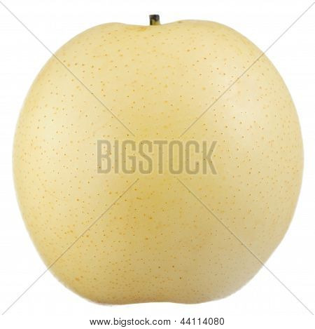 Asian (Chinese Or Nashi) Pear Isolated On White Background