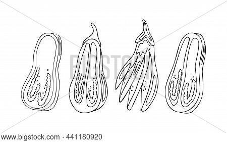 Vector Linear Doodle Illustration With Set Of Eggplants In Different Positions And Cooking. There Is