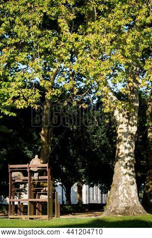Porto, Portugal - August 10, 2021: Statues Sitting In A Park In The Center Of Porto, Portugal