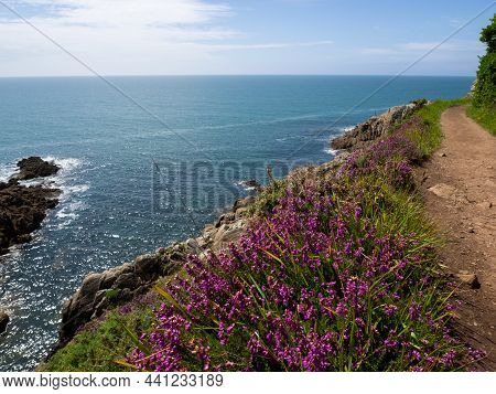 Landscape Along The Coastline In Brittany During A Wonderful Sunny Day