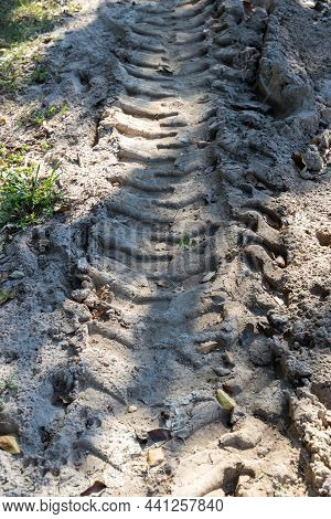 Wheel Tracks On The Soil. Tire In The Sand Or Mud. Tire Trace Tracks Car On A Soil. Rural Road In Fo