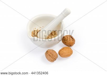Crushed Kernels Of Walnuts In The White Porcelain Kitchen Mortar With Pestle And Whole Unshelled Nut