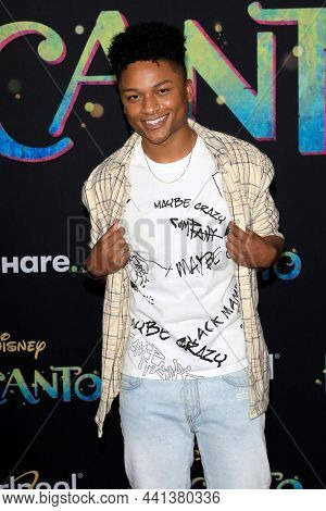 LOS ANGELES - NOV 3:  Andre Swilley at Encanto World Premiere at El Capitan Theater on November 3, 2021 in Los Angeles, CA