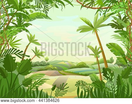 Great Countryside In The Tropics. Vegetable Garden Hills And Meadows. The Road Goes Into The Distanc