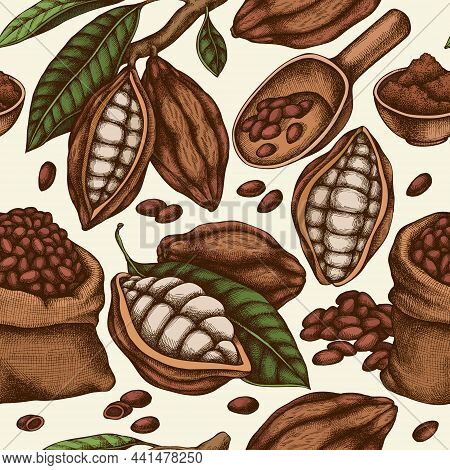 Seamless Pattern With Hand Drawn Colored Cocoa Beans, Cocoa Stock Illustration