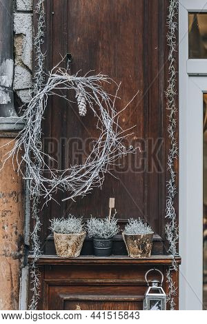 Tillandsia Usneoides Or Spanish Moss As Building Decoration Hanging At Flower Shop. Trendy Winter An