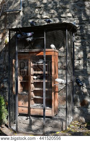 A Small Dovecote In The Courtyard Of An Old House. Doves In The Dovecote. Dovecote On The Background