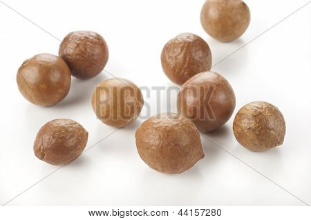 NUTS: Macadamia auf weißem Hintergrund