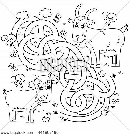 Maze Or Labyrinth Game. Puzzle. Tangled Road. Coloring Page Outline Of Cartoon Goat With Goatling Or