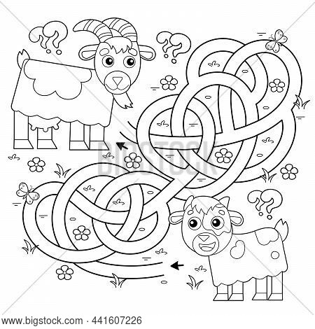 Maze Or Labyrinth Game. Puzzle. Tangled Road. Coloring Page Outline Of Cartoon Goat With Goatling Or