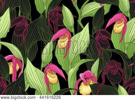 Ladys Slipper Orchid, Cypripedioideae, Seamless Pattern, Background. Vector Illustration. In Botanic