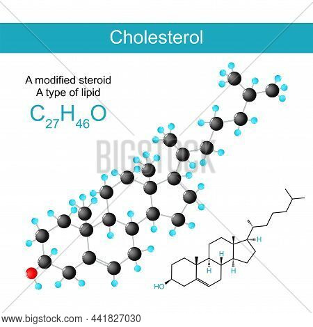 Cholesterol Molecular Chemical Structural Formula And Model Of A Sterol (or Modified Steroid). Type 