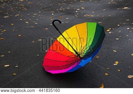 The Upside-down Umbrella Lies On The Asphalt.