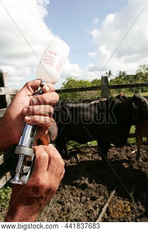 Vanicnation Against Foot-and-mouth Disease In Bovine