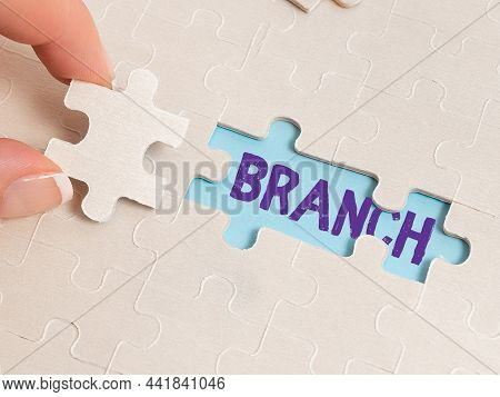Text Caption Presenting Branch. Business Overview A Part Of A Tree Which Grows Out From The Trunk Or