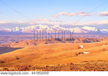 Kurai Steppe In The Altai Mountains. Snow-capped Peaks Of The North Chui Range In The Morning Light 