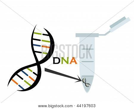 Recherche sur l'ADN