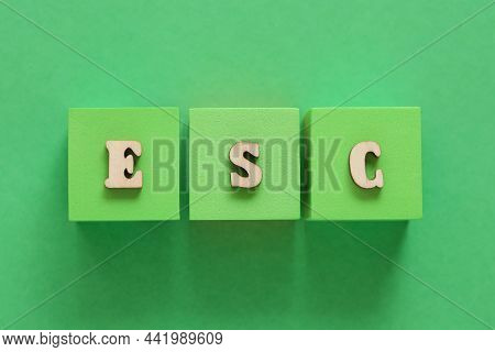 Esg. Socially Responsible Investing. Concept Sustainably. Green Background