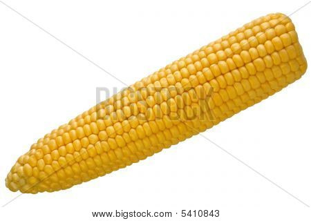 Isolated Corn