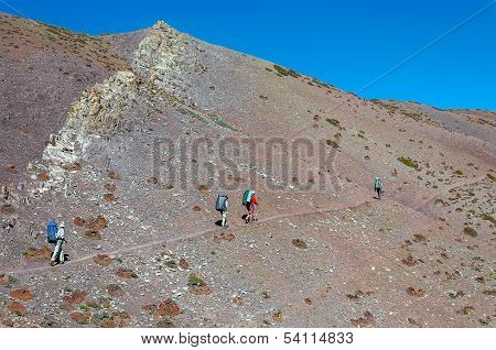 Team of hikers in in Indian Himalaya