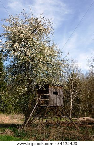 Small hunting hut for game viewing