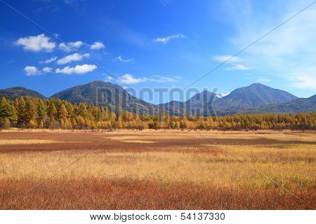 Odashiro Plateau Of Autumn