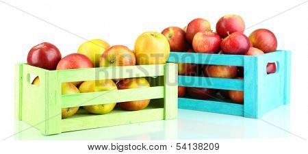 Juicy apples in wooden boxes isolated on white