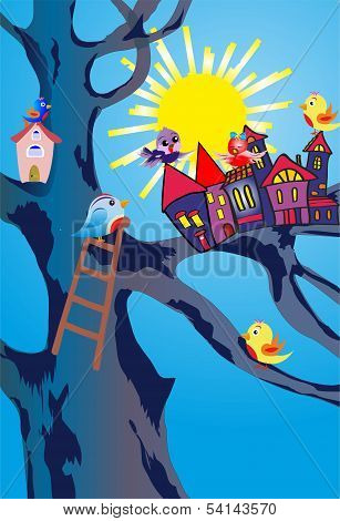 Birds town,