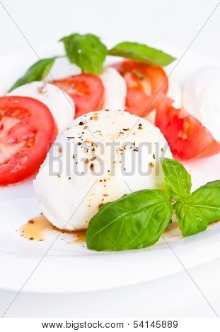 Fresh Mozzarella