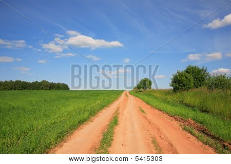 Gyönyörű nyári táj