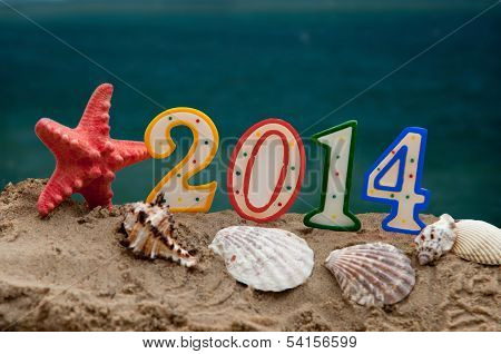 New Year 2014