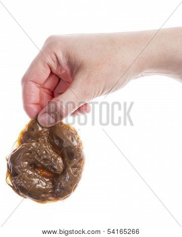 Hand Holding Fake Excrement