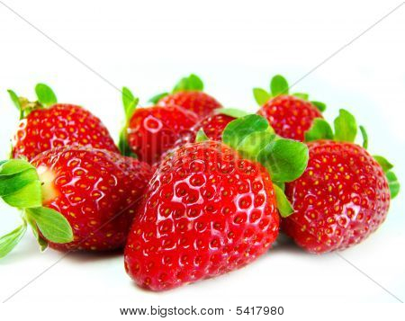 Propagação Stawberries