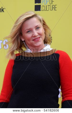 LOS ANGELES - NOV 17:  Jessica Capshaw at the P.S. Arts Express Yourself 2013 at Barker Hanger on November 17, 2013 in Santa Monica, CA