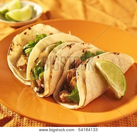 soft corn tacos with chicken and cilantro